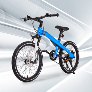 Bicicleta BMW
