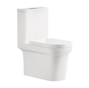 Inodoro Sifónico de una pieza