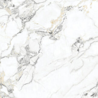 Baldosa de porcelana / mármol