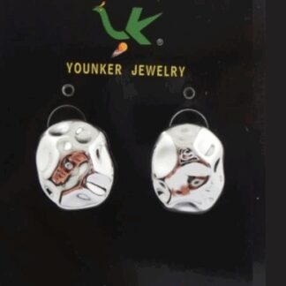 Pendientes Modelo 13