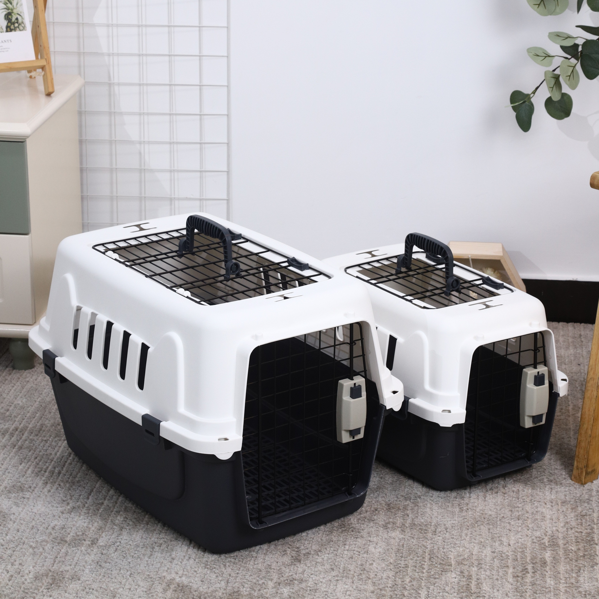 Transportador de mascotas