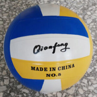 Pelota para voleyball